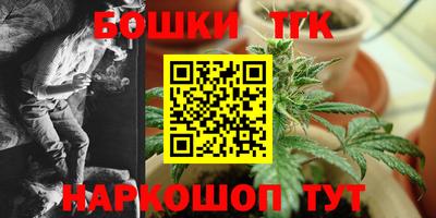 гашик Новодвинск