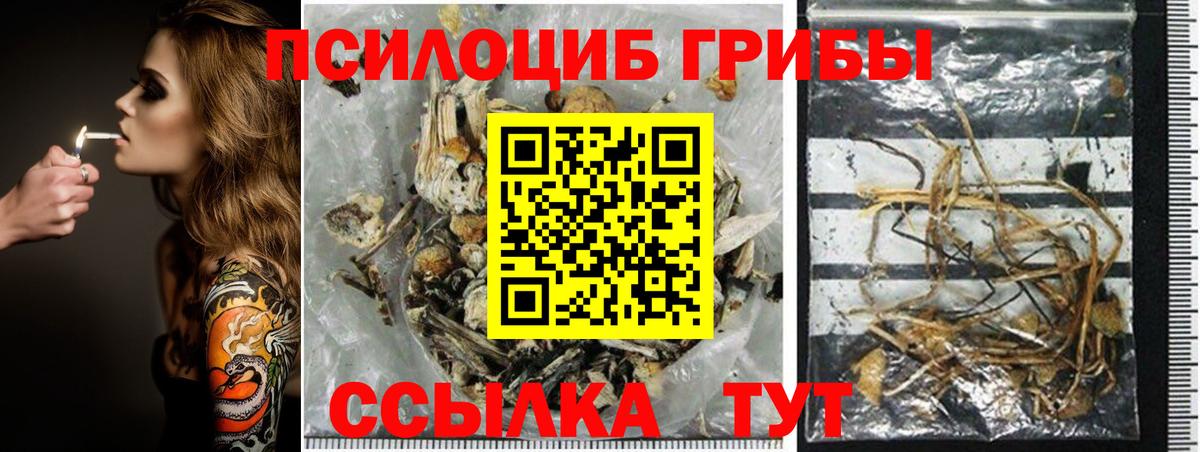 Канабис Чайковский