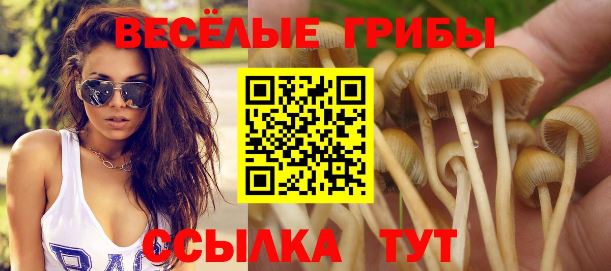 Галлюциногенные грибы Magic Shrooms  Вход с VPN  Чайковский 